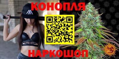 шишки Нарткала