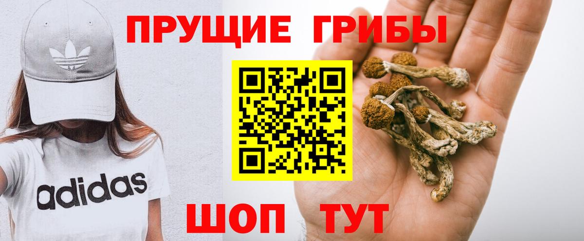 Галлюциногенные грибы Psilocybine cubensis  Вход с VPN  Сланцы 